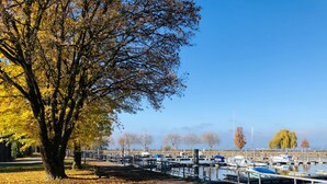 Un sentier bordé d’arbres mène à une marina où sont amarrés des bateaux.