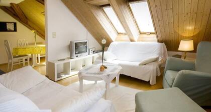 Appartement de vacances lumineux "Bregenz 6 Top 4" avec Wi-Fi, terrasse et jardin