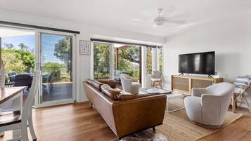 Televisión, Netflix, libros, servicios de streaming