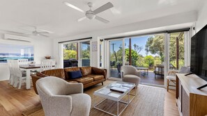 Televisor, Netflix, llibres i serveis de streaming 