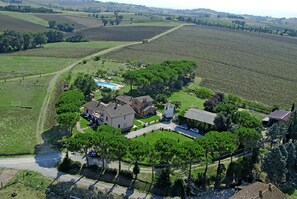 Aerial view - Olive apt With Shared Pool (Castiglione del Lago)