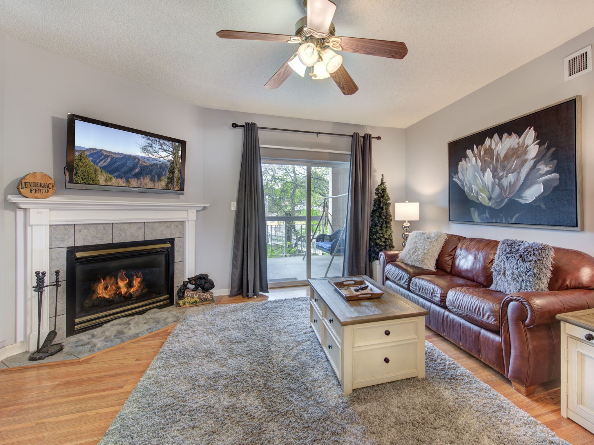 TV, fireplace