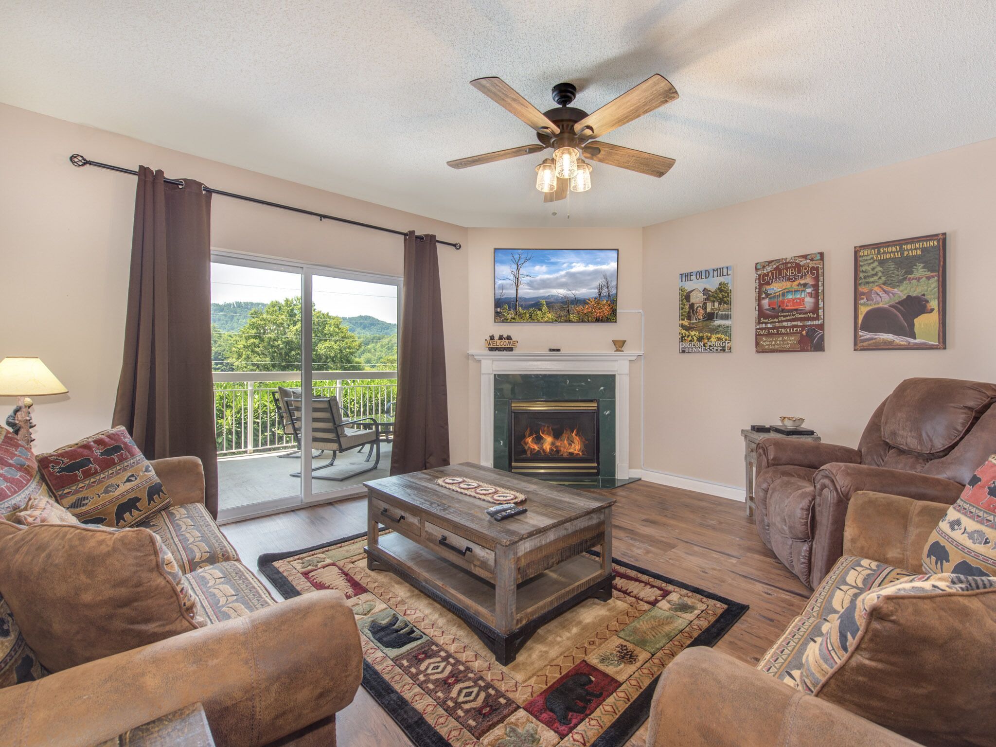 电视、壁炉、DVD 播放器