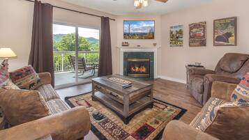 Fernseher, Kamin, DVD-Player