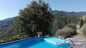 A swimming pool with a view of mountains, a metal ladder, and a potted plant.