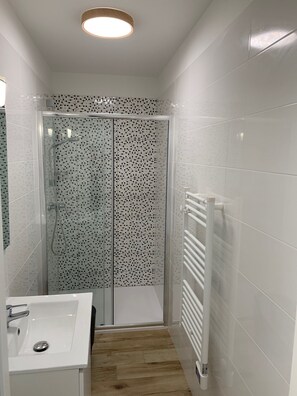 Shower, hair dryer, towels - APARTMENT Les PIEDS DANS L'EAU - Sea view - 2 to 4 people (Linguizzetta)