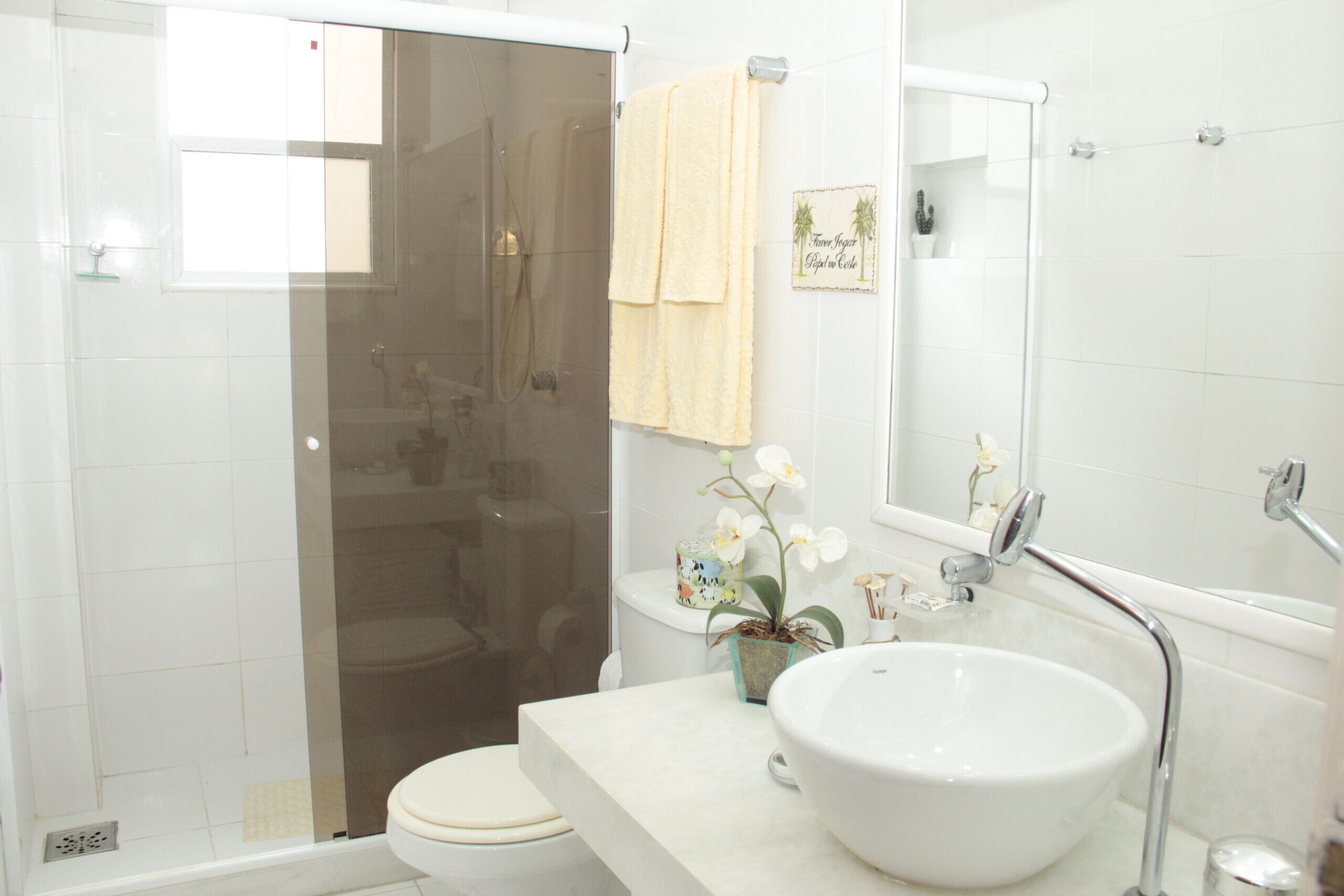 A bathroom with a glass-enclosed shower, a toilet, a sink with a large bowl, and a mirror above the sink.
