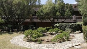 A courtyard with stone pathways, surrounded by trees and shrubs, leading to a building with a flat roof and a brick facade.