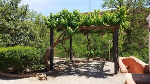 Un jardín con un pérgola, un edificio blanco y un camino.