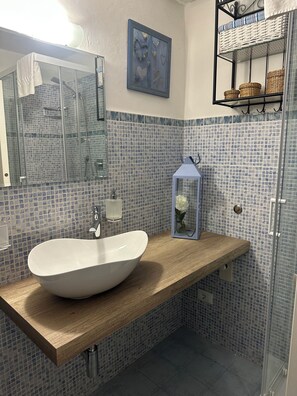 Shower, hair dryer, bidet, towels