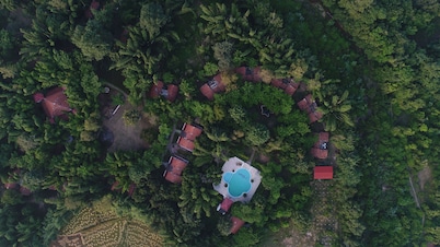 Mogli Jungle Resorts Bandhavgarh