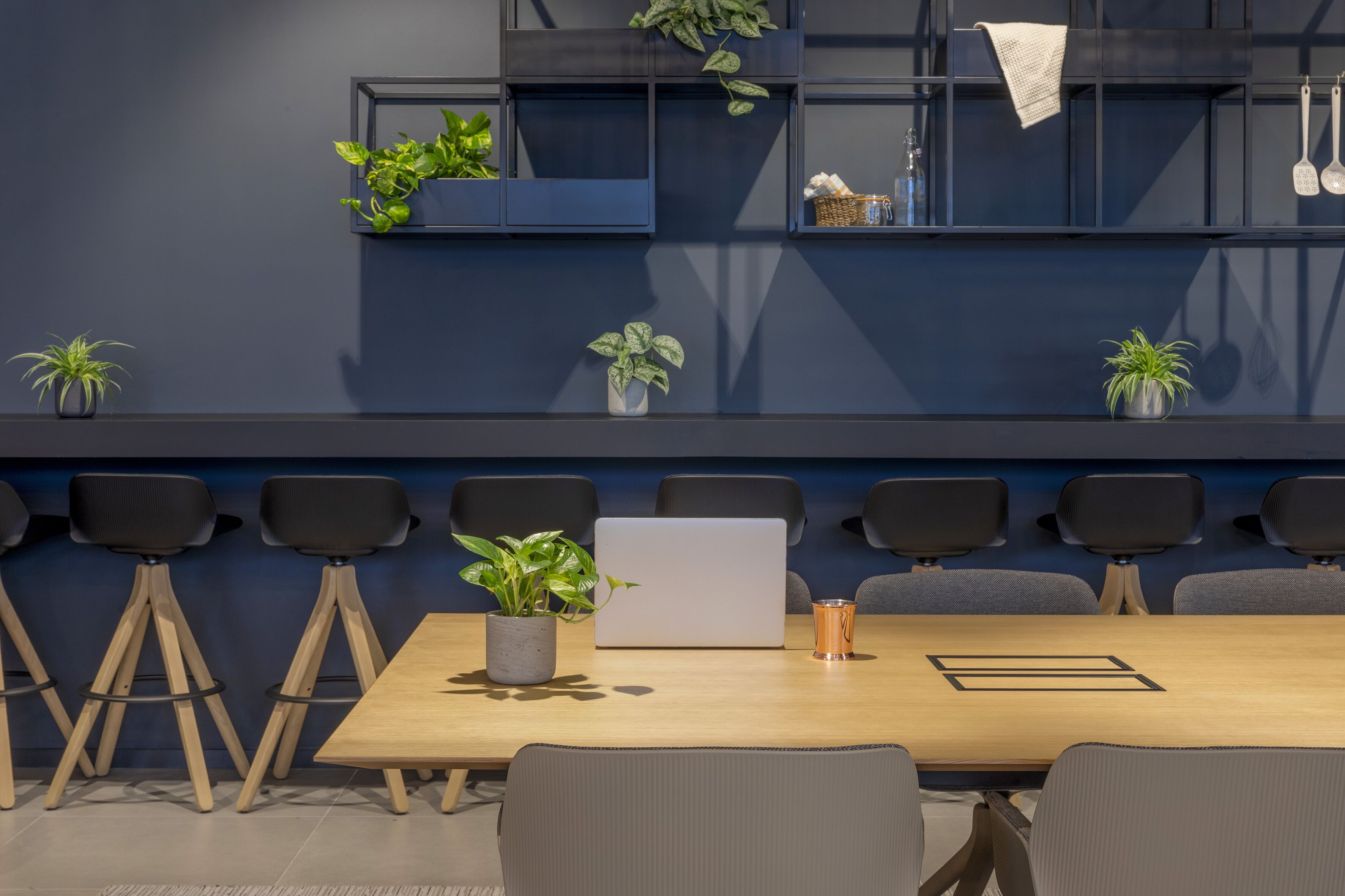 A conference room with a long table, chairs, and potted plants.