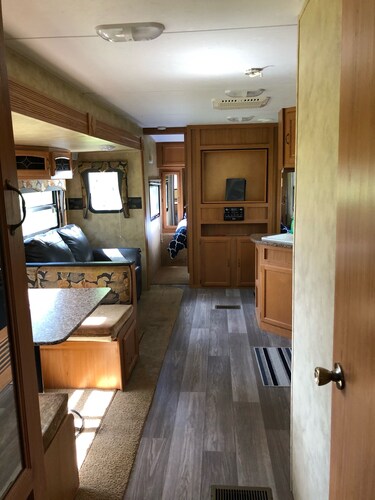 Pelican - Camper at Sunset Bay