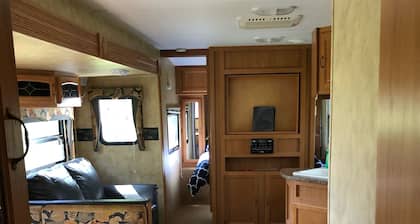 Pelican - Camper at Sunset Bay