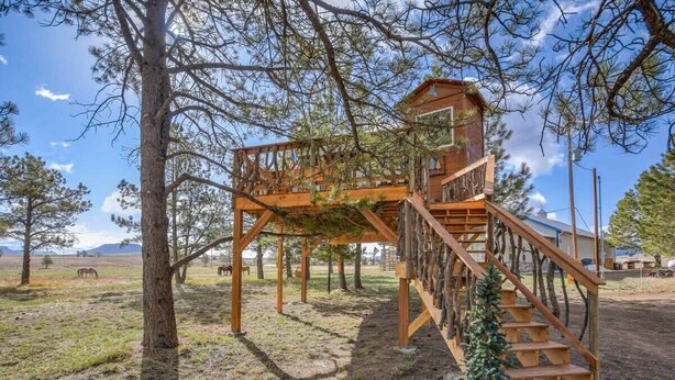 Une cabane en bois perchée dans un arbre, avec un escalier et une petite véranda, entourée d’arbres et de champs ouverts.