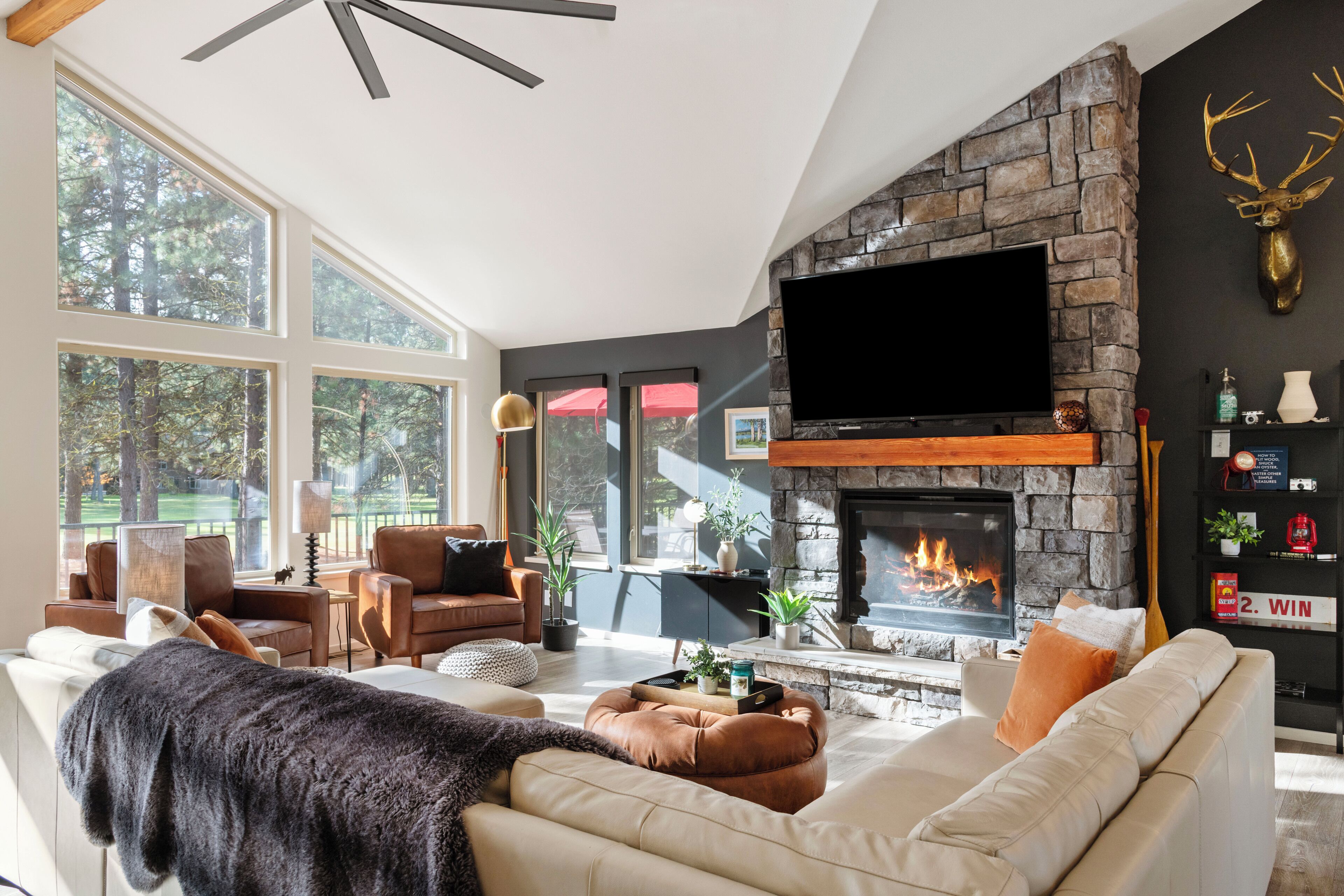 Smart TV, fireplace, DVD player, books