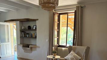 Télévision, cheminée, lecteur de DVD, livres