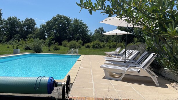 A swimming pool with lounge chairs and umbrellas, surrounded by greenery.