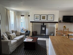 TV, fireplace, DVD player, books