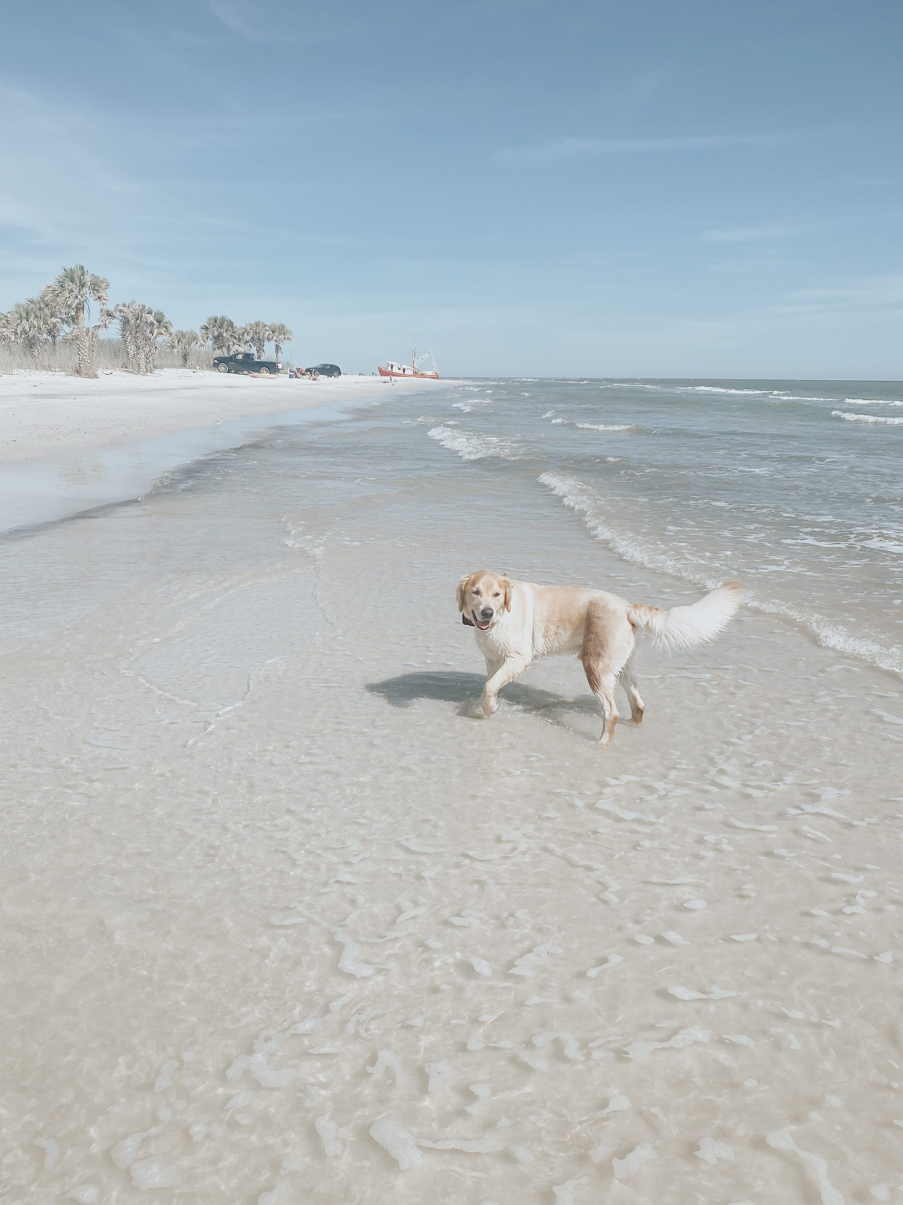 Playa en los alrededores 