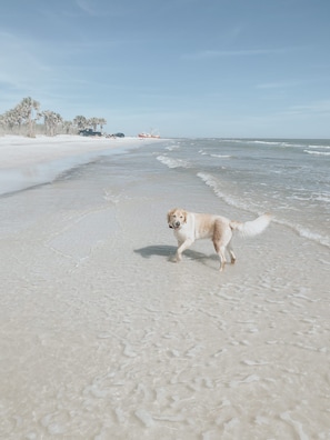 Beach nearby