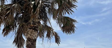 Ubicación a pie de playa y toallas de playa