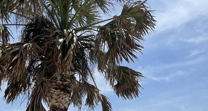 20% off weekly/monthly Winter time! Relaxing, family-friendly home on the Gulf!