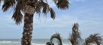 FALL Discount! BEAUTIFUL VIEWS! Relaxing, family-friendly home on the Gulf!