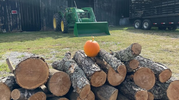 A stack of logs in front of a barn with a tractor and trailer nearby.
