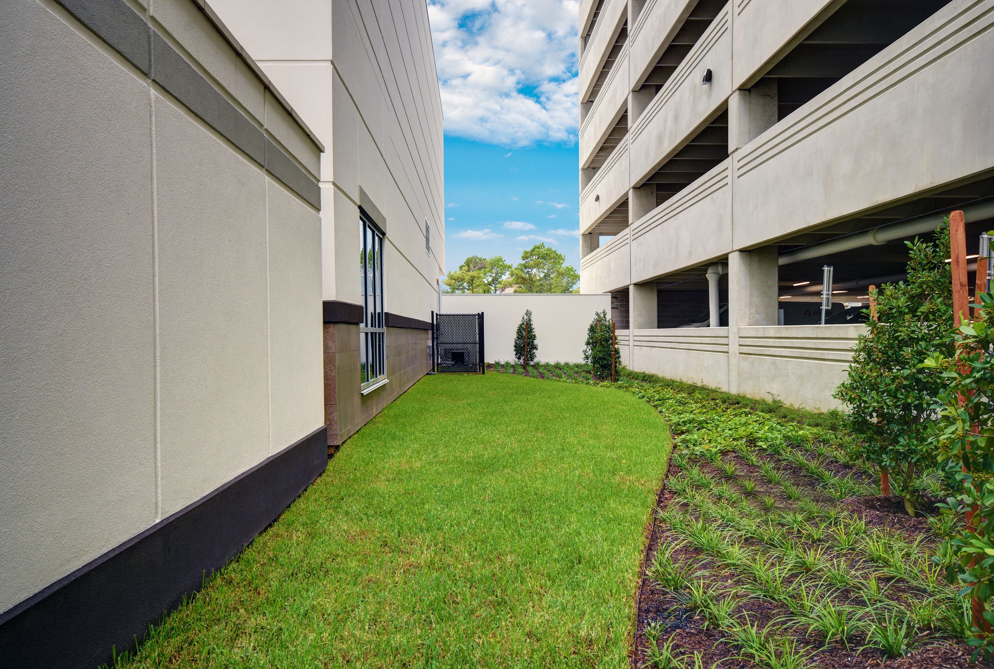 pet-friendly amenities