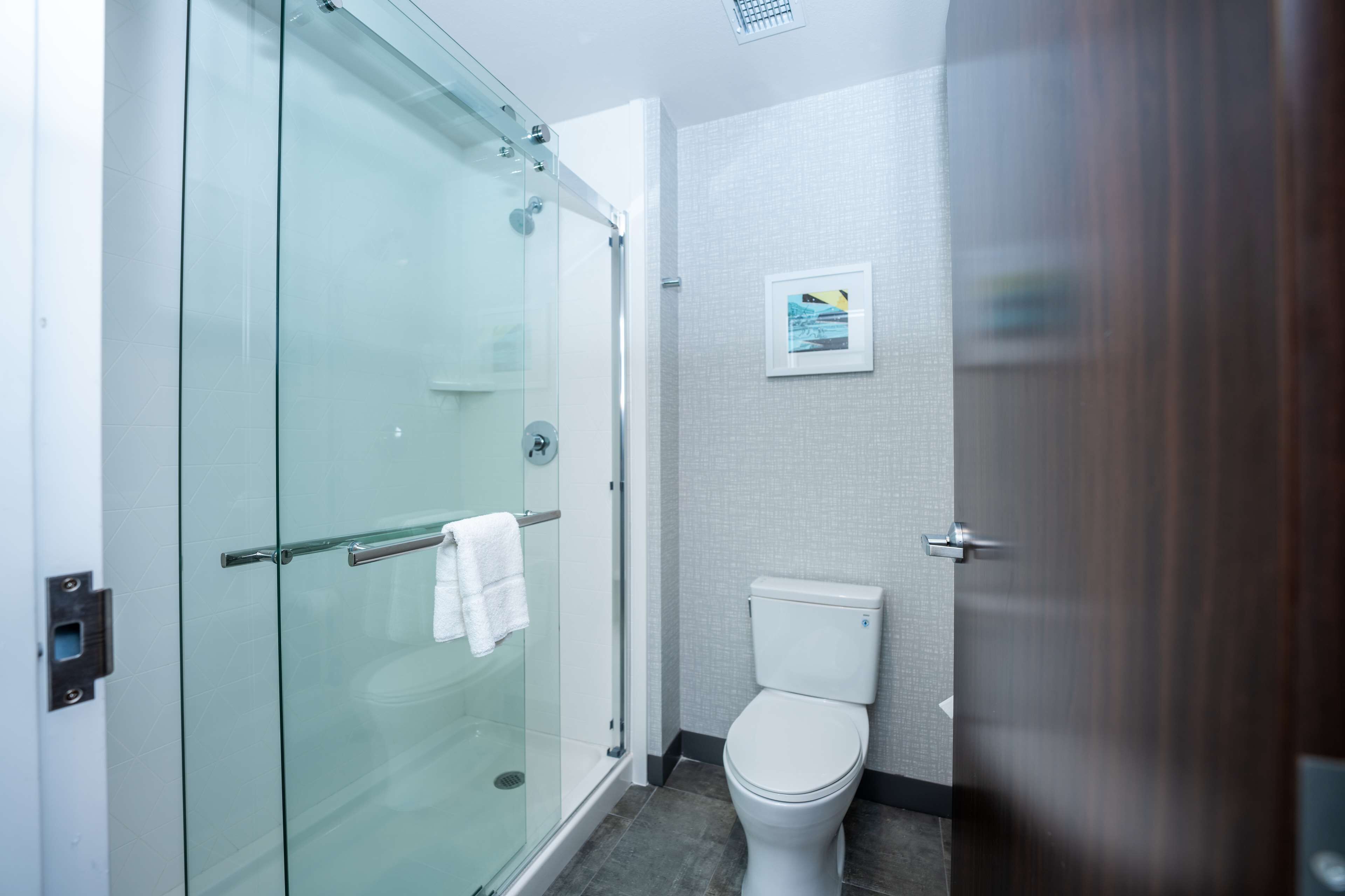 Ein modernes Badezimmer mit Duschkabine aus Glas, einer weißen Toilette und einem gerahmten Bild an der Wand.