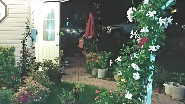 A garden with potted plants and a pergola. - Cozzy Get Away Priv. Apt/ St BarnabaS Hosp/NYC/EWR (Livingston)