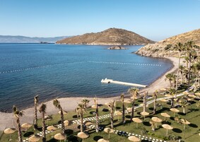 Un resort costero con playa, palmeras y un muelle que se adentra en el mar.