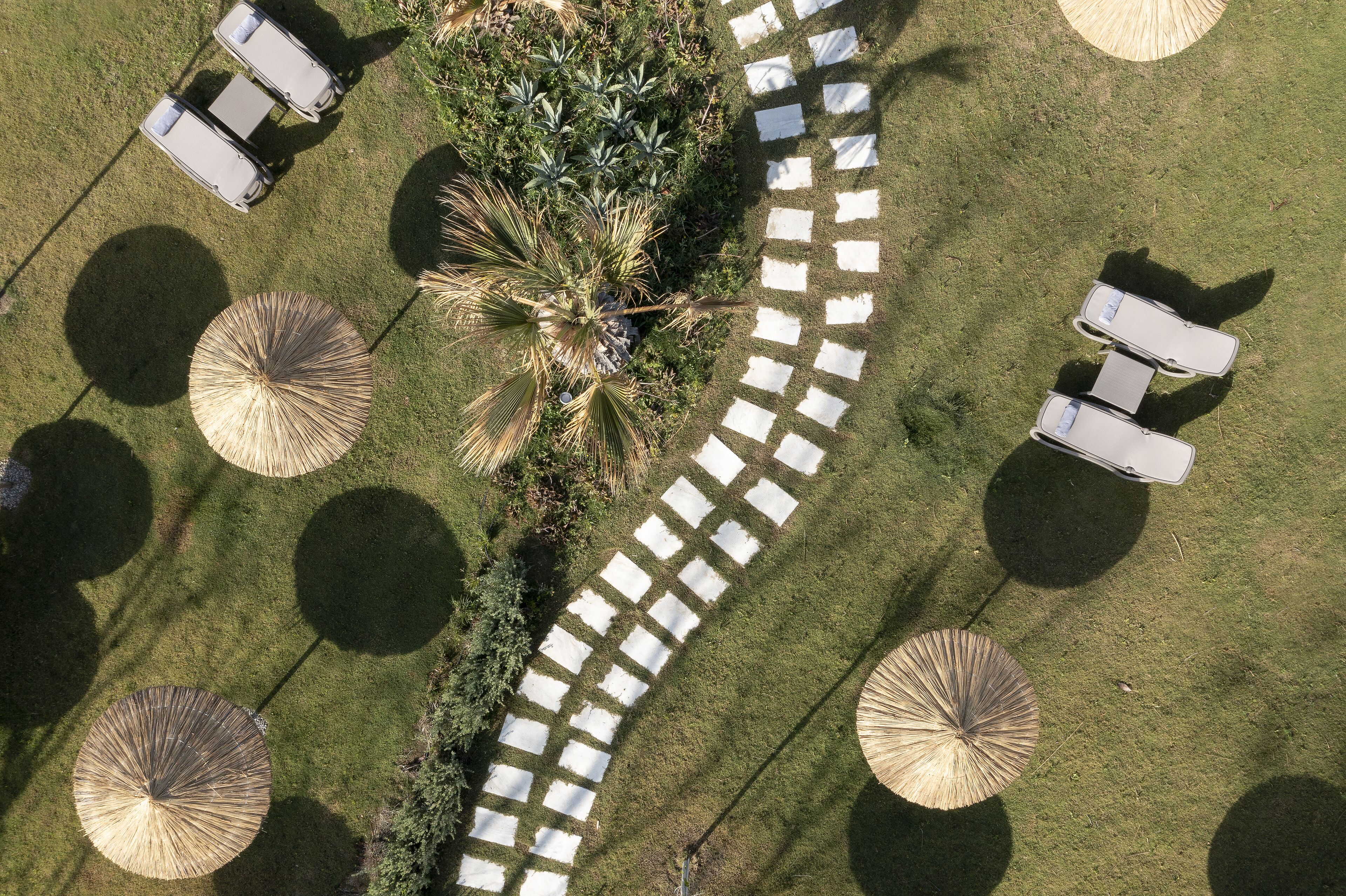 An aerial view of a resort with sun loungers, umbrellas, and a palm tree.