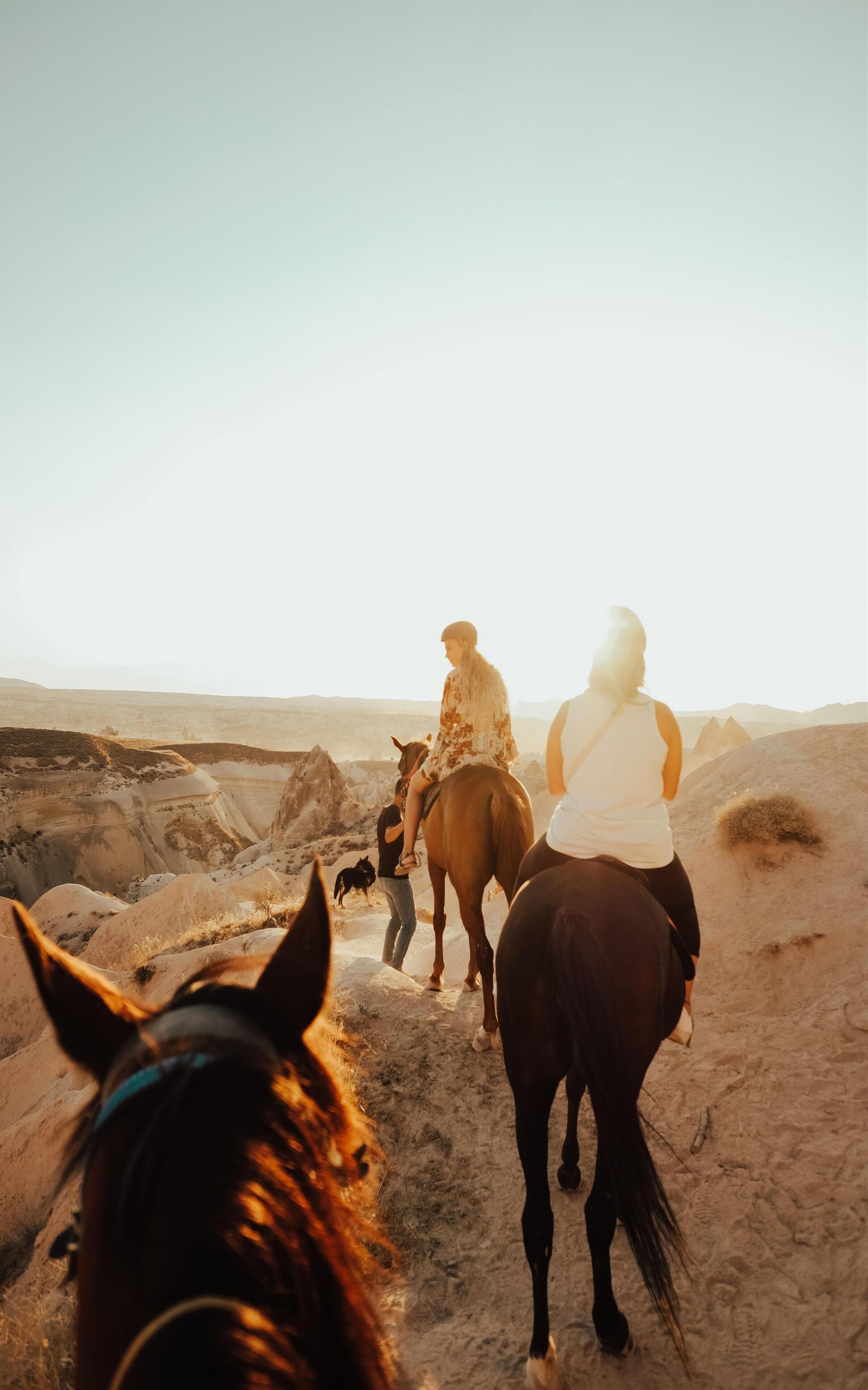 A desert landscape with people riding horses.
