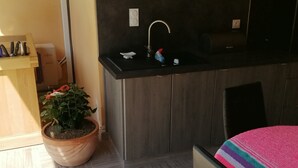 A compact kitchen with a sink, a potted plant, and a small countertop. - Charming independent studio in Martigues town center, swimming pool, spa (Martigues)