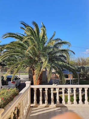 A balcony with a palm tree, a white car, and a gazebo in the background.