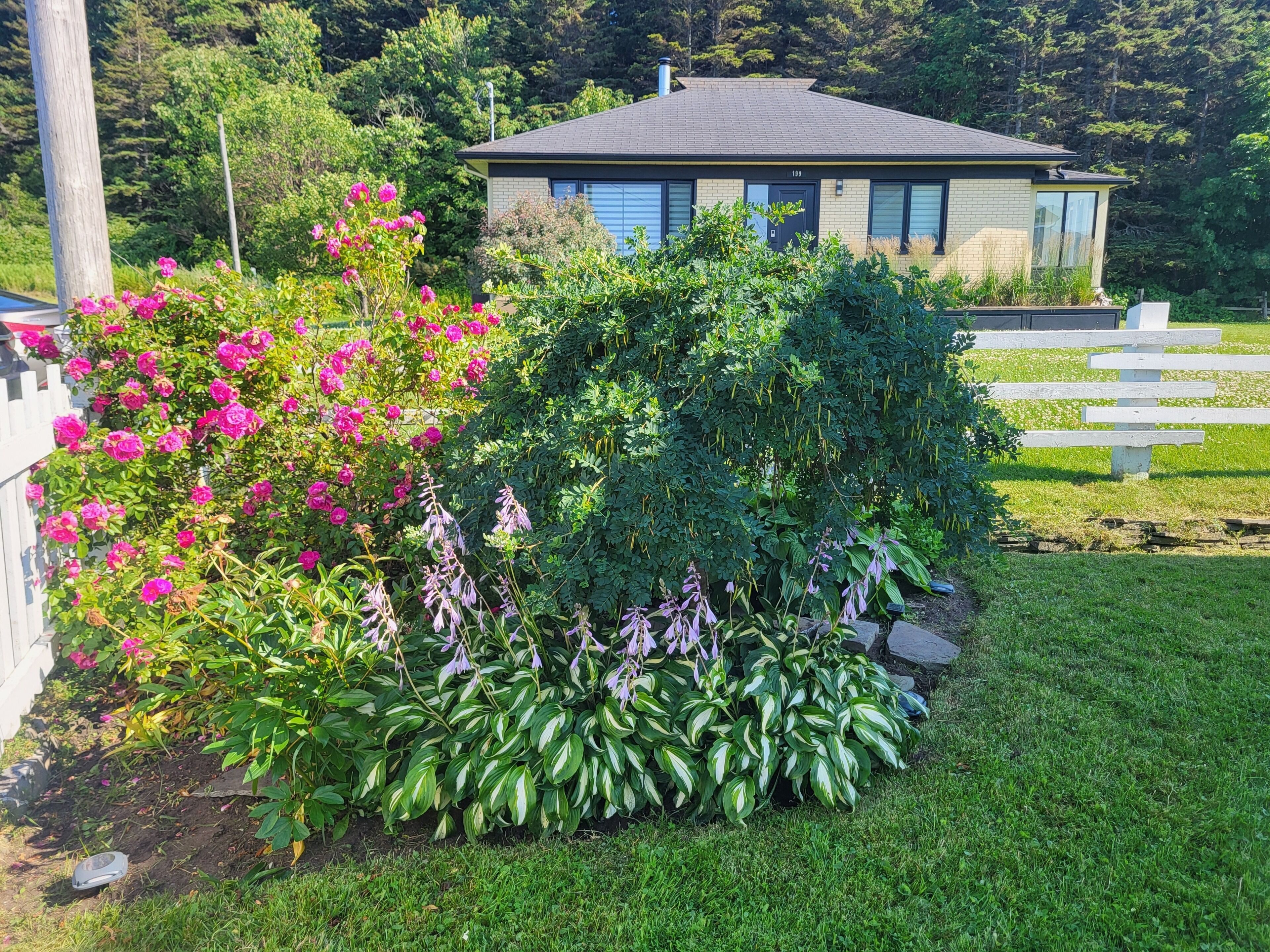 A residential property with a well-maintained garden, a house with a dark roof, and a white fence.