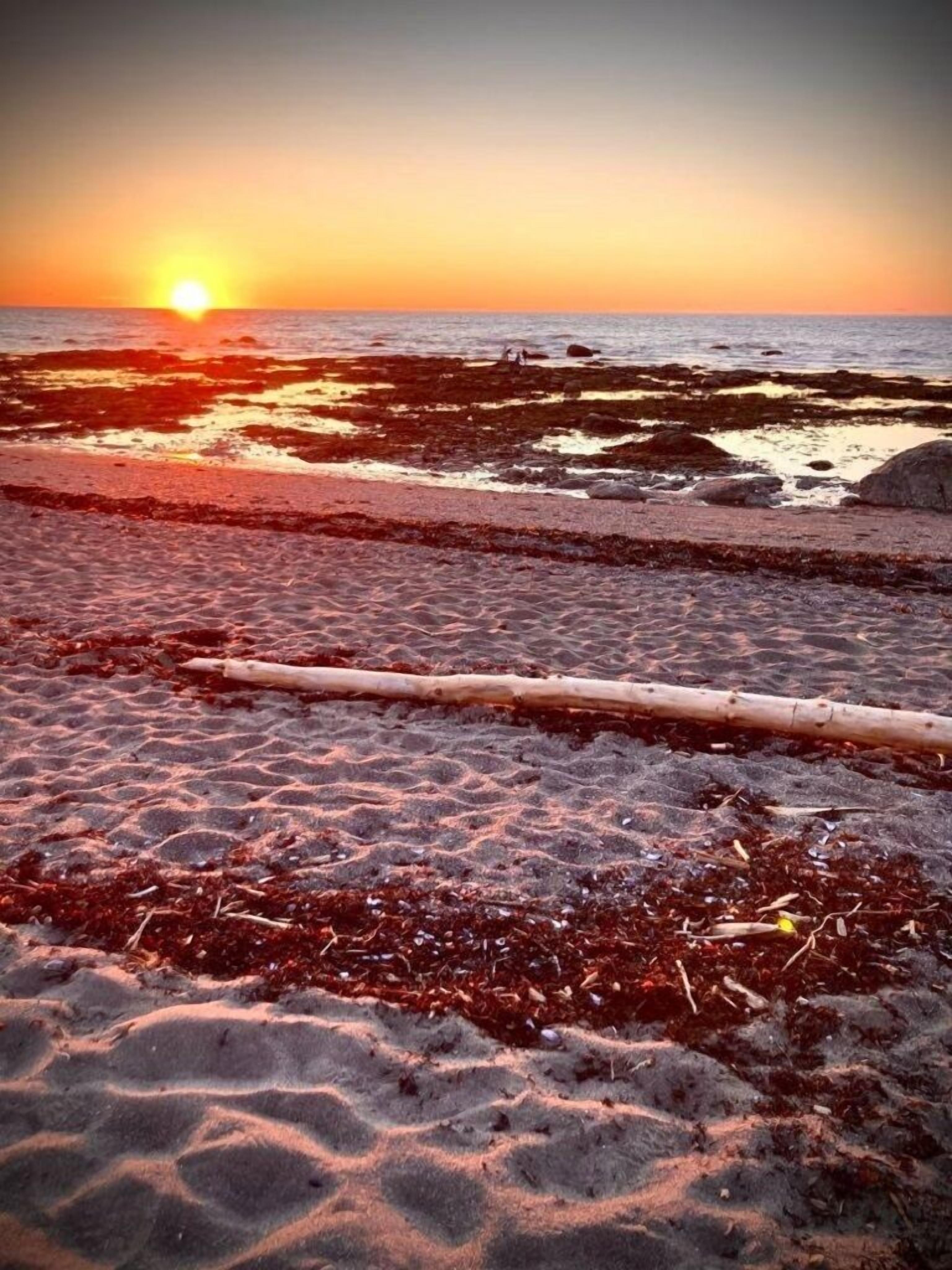 Ubicación cercana a la playa y tumbonas