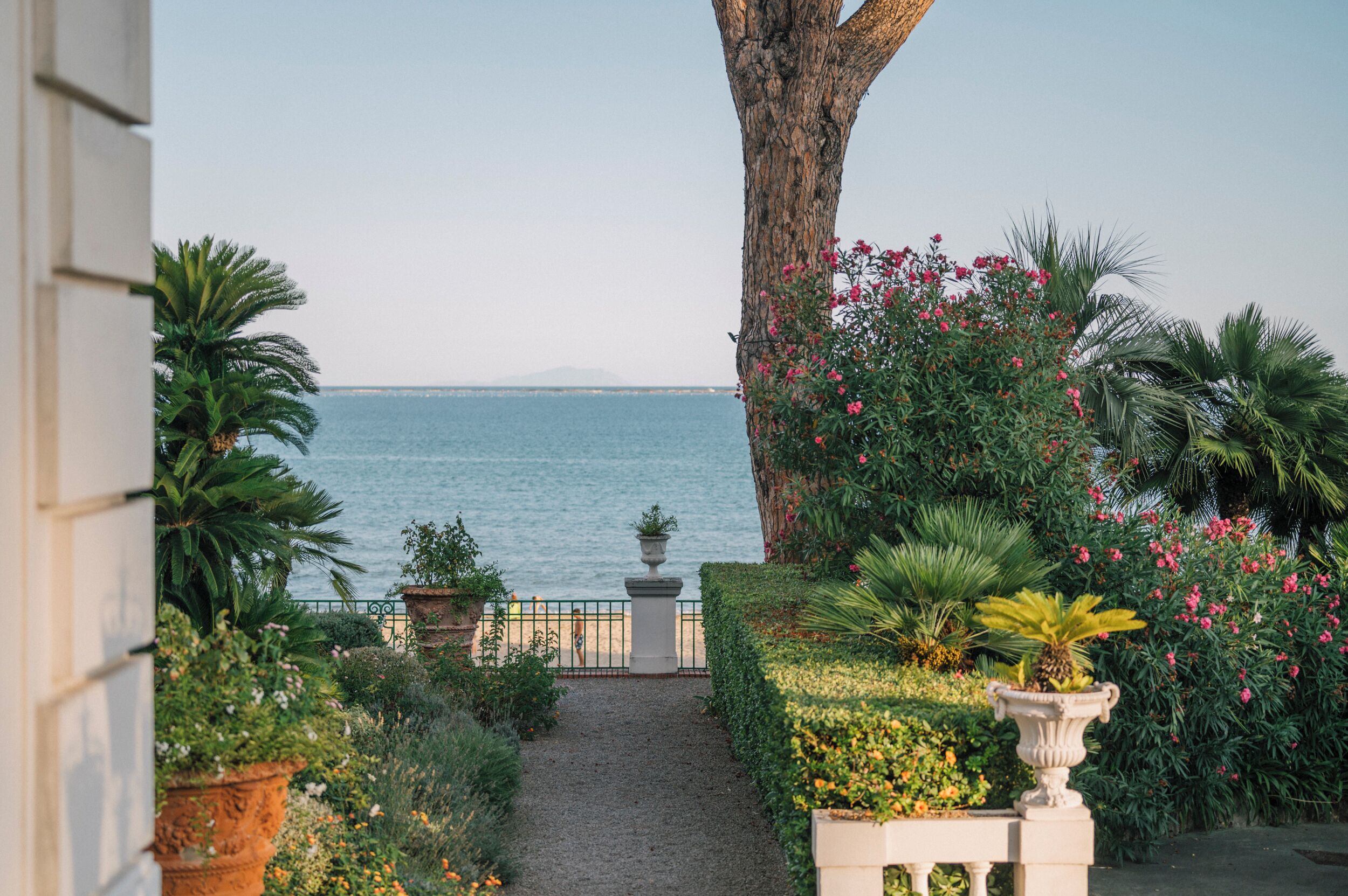 Un sendero en un jardín que conduce a una vista del mar, con diversas plantas y un gran árbol.
