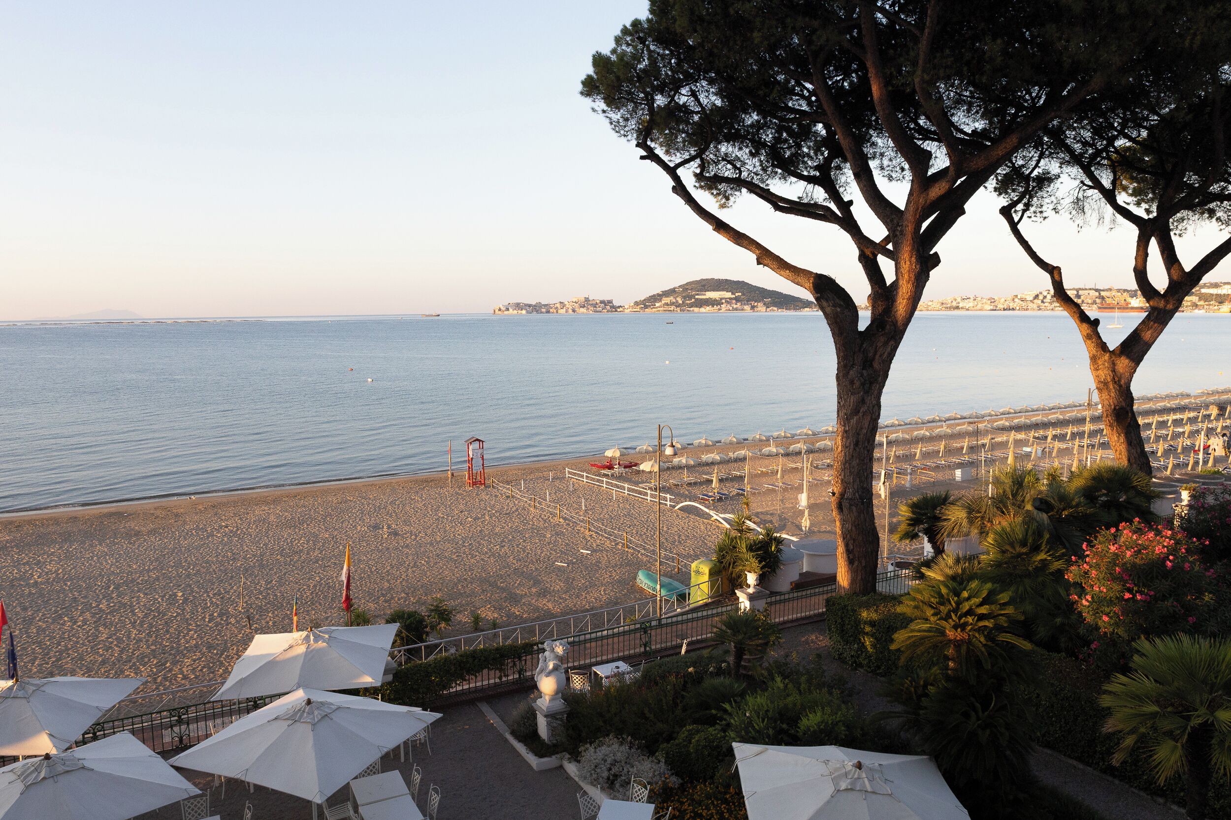 Una spiaggia con ombrelloni, una recinzione e un albero.