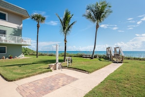 A beachfront property with a paved walkway, palm trees, and a bench.