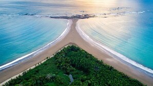Una vista aerea di una spiaggia con un litorale curvo, vegetazione rigogliosa in primo piano e acque oceaniche calme.