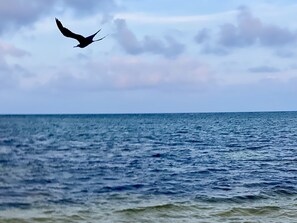 Am Strand, Liegestühle, Strandtücher