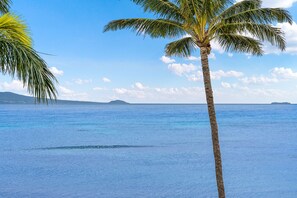 On the beach, sun-loungers, beach towels