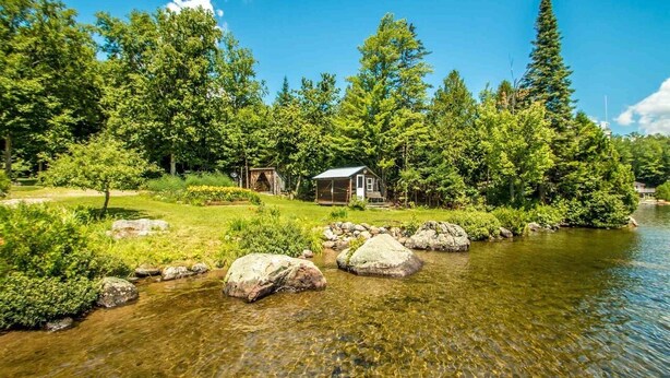 A cabin by a clear stream surrounded by dense trees.