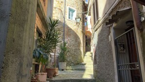 A narrow stone-paved alley with buildings on either side, potted plants, and a metal gate.