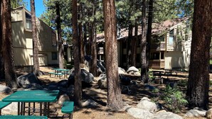 A campground with picnic tables, large rocks, and cabins surrounded by tall pine trees.