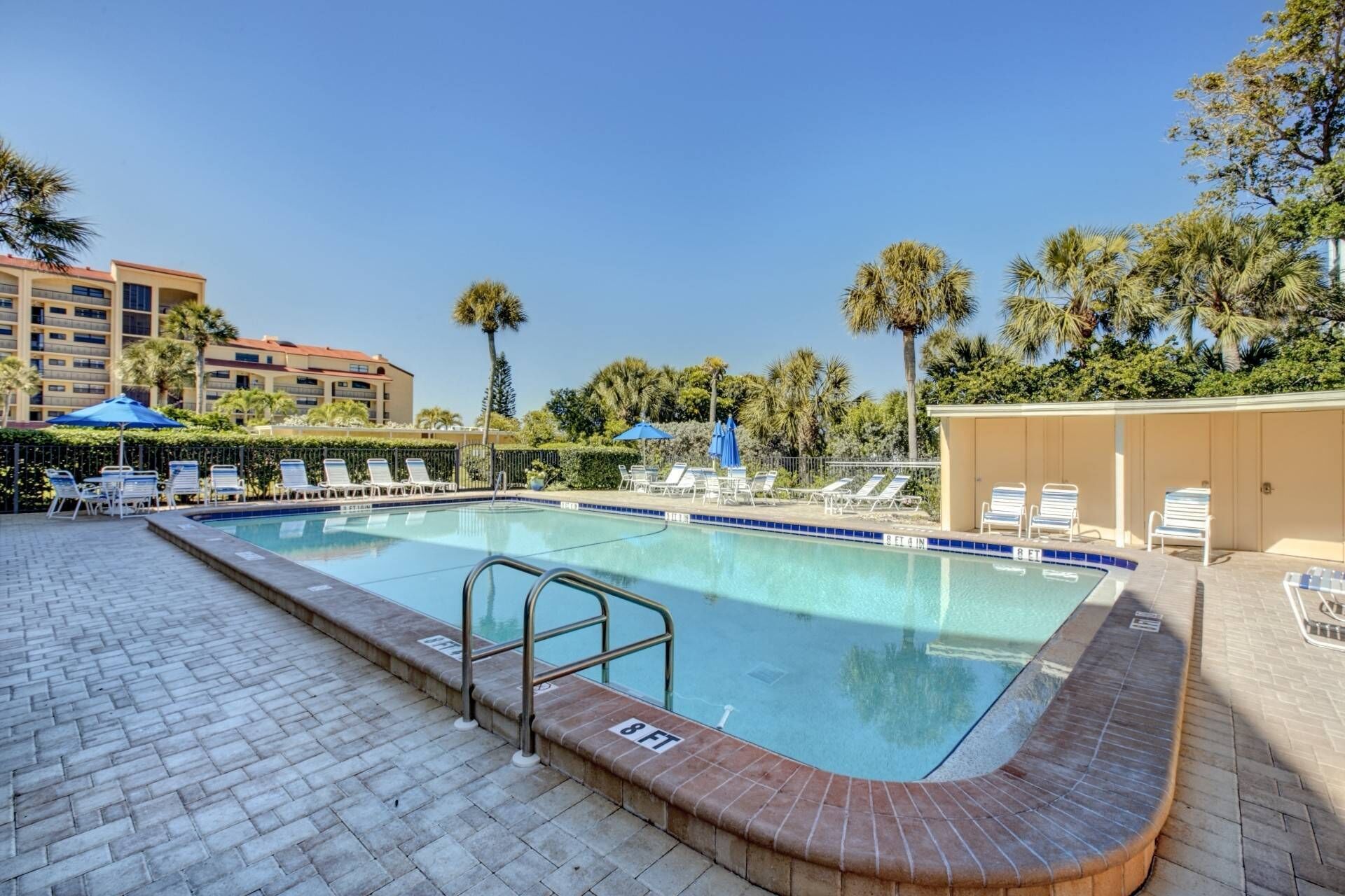 A swimming pool with lounge chairs and umbrellas, surrounded by palm trees and a building in the background.