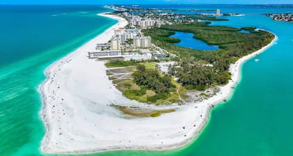 Minorga Sand Dollar on the Key